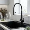 Pure.Sink Elite Steel Flex 3-way Matte Black Kitchen Faucet with Flexible Spout and Filtered Water PS8110-10